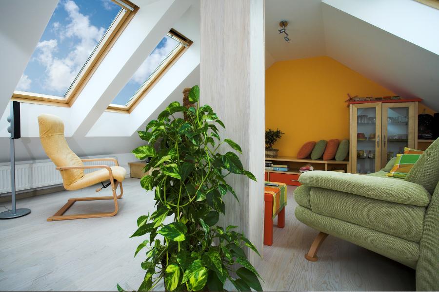 Giếng Trời Nhà Phố – Giải Pháp Thiết Kế Thông Minh 5 Giếng Trời Kết Hợp Cây Xanh